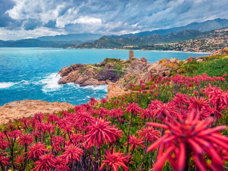 Un Grand Tour de Corse