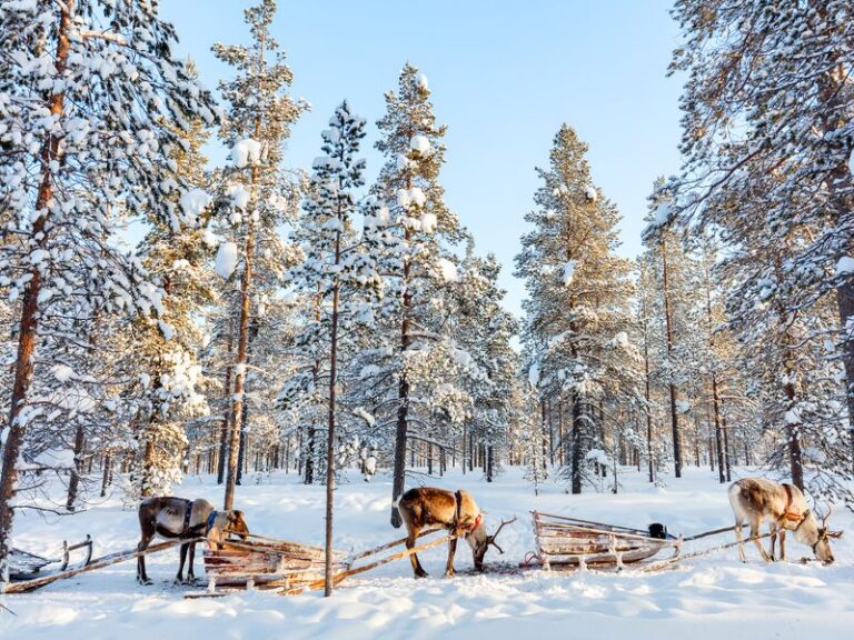 Séjour au Pays du Père Noël