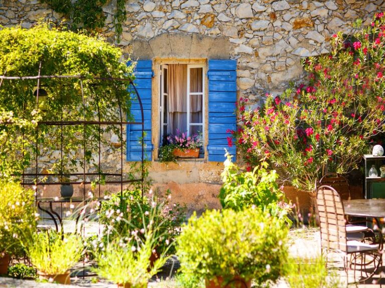 Une immersion en Provence