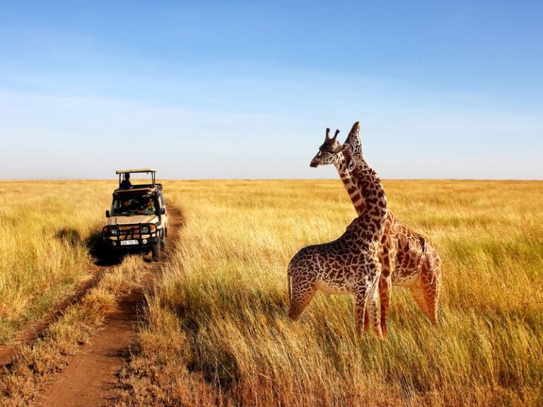 L’essentiel de la Tanzanie & Zanzibar