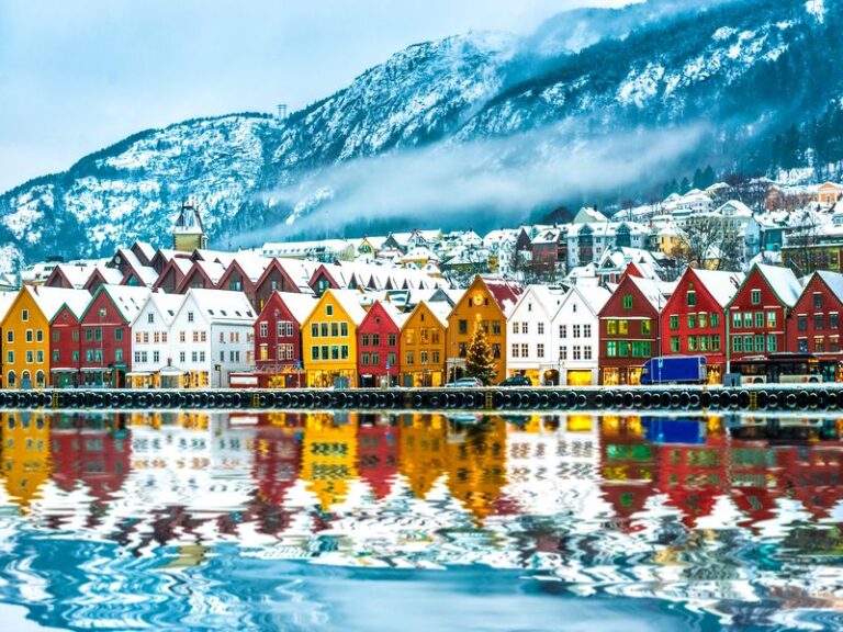 Un hiver dans les Fjords en liberté