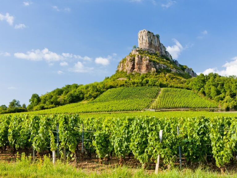 Les Délices de la Bourgogne