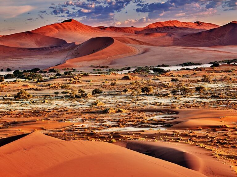 Safaris & Dunes Afrique du Sud & Namibie