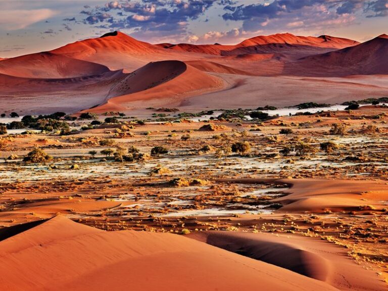 Découverte de la Namibie