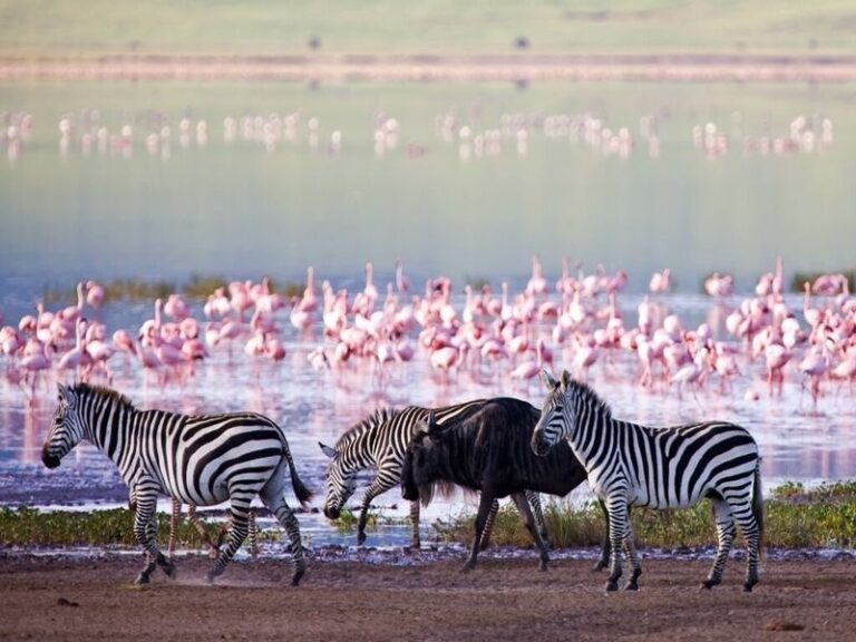 L’ESSENTIEL DE LA TANZANIE ET ZANZIBAR