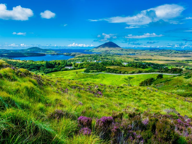 paysage vert en irlande
