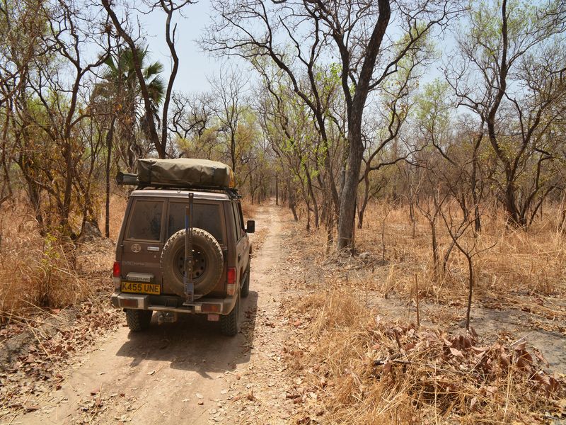 safari sénégal